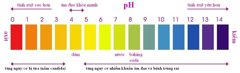 cách dùng que thử viêm nhiễm phụ khoa Indicator