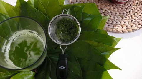 chữa ngứa vùng kín bằng lá trầu không 
