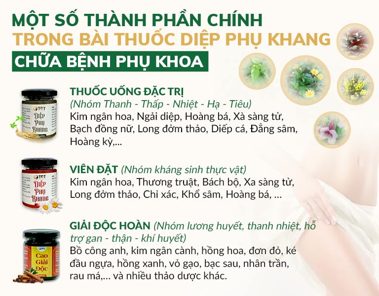 Các thành phần thảo dược được đưa vào Diệp Phụ Khang 