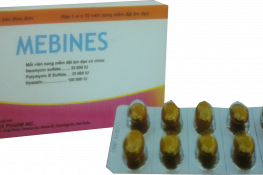 Thuốc đặt phụ khoa Mebines được chỉ định điều trị nhiễm khuẩn và nhiễm nấm âm đạo