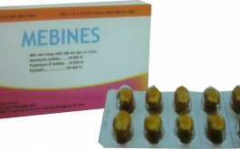 Thuốc đặt phụ khoa Mebines được chỉ định điều trị nhiễm khuẩn và nhiễm nấm âm đạo