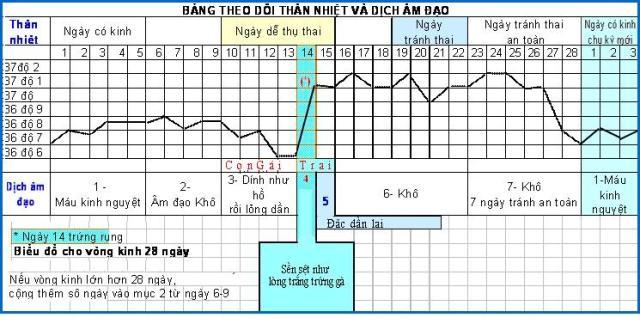 biểu đồ theo dõi thân nhiệt