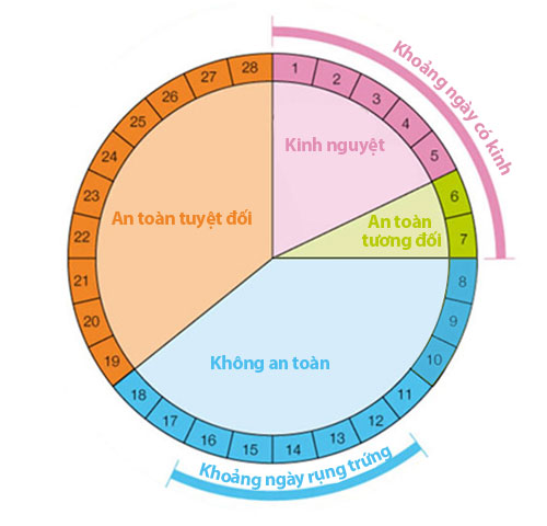 Tính ngày rụng trứng theo lịch