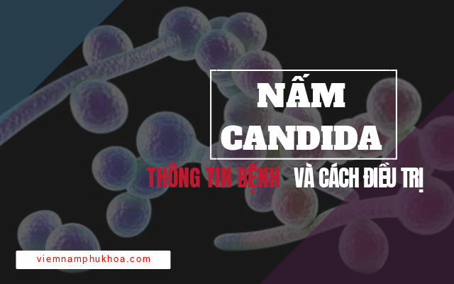 nấm candida thông tin bệnh và cách điều trị