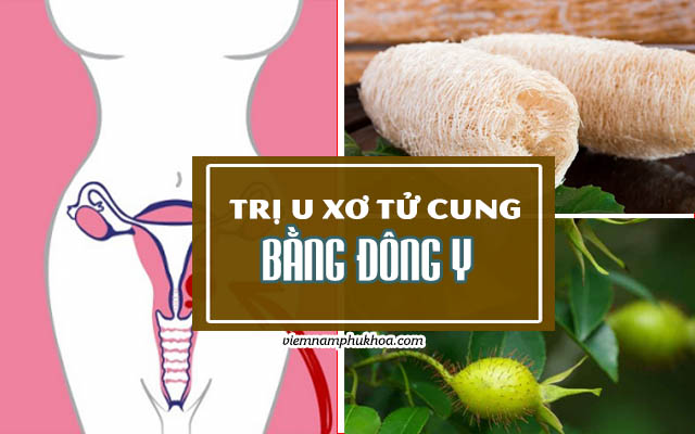 đông y chữa u xơ tử cung