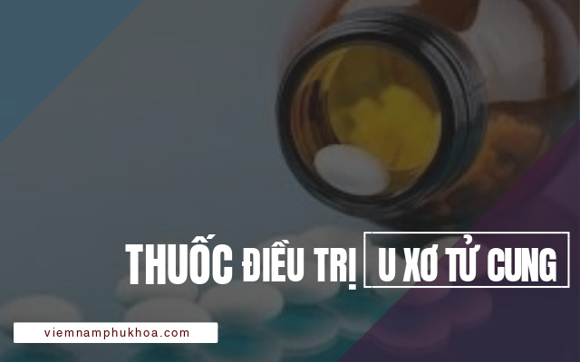 Thuốc điều trị u xơ tử cung