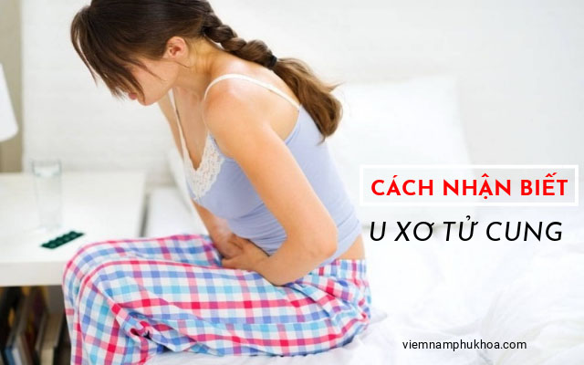 dấu hiệu u xơ tử cung