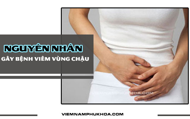 nguyên nhân gây viêm vùng chậu