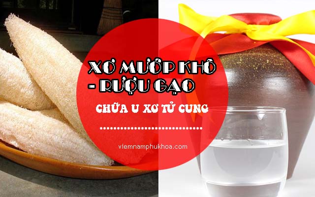 chữa u xơ tử cung bằng rượu gạo và mướp khô