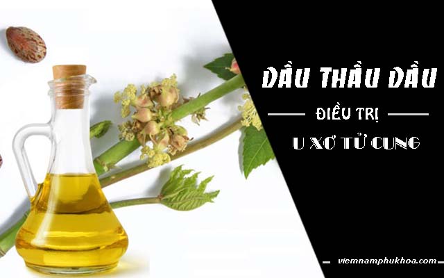 dầu thầu dầu chữa u xơ tử cung