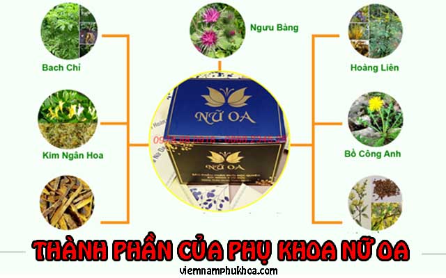 thành phần của phụ khoa nữ oa