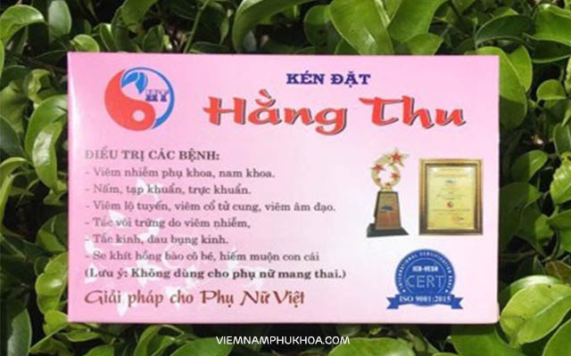 Thành phần chính của thuốc phụ khoa Hằng Thu là các dược liệu thiên nhiên có tác dụng điều trị các loại bệnh phụ khoa