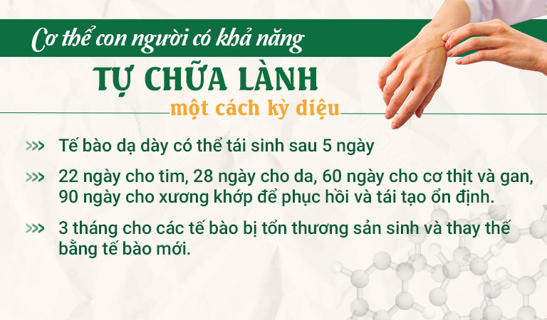 Bác sĩ Đỗ Thanh Hà đánh giá cao cơ chê tự chữa lành của cơ thể