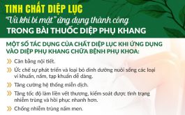 Kích thích cơ chế tự chữa lành: Điểm đặc biệt trong phương pháp điều trị bệnh Phụ khoa của Thuốc dân tộc