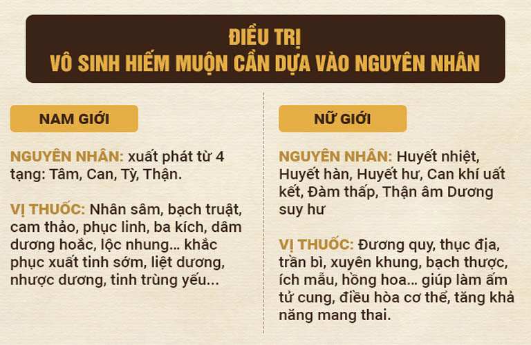 Bác sĩ Đỗ Thanh Hà điều trị vô sinh hiếm muộn theo từng nguyên nhân Bác sĩ Đỗ Thanh Hà điều trị vô sinh hiếm muộn theo từng nguyên nhân