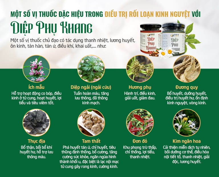Một số vị thuốc được đưa vào điều trị trong trường hợp rối loạn nội tiết tố, kinh nguyệt cho bệnh nhân Huyền
