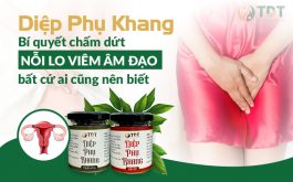 Diệp phụ khang chữa viêm âm đạo NỔI TIẾNG có tốt như lời đồn