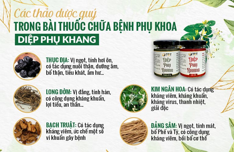 Một số thành phần thảo dược được sử dụng nhằm nâng cao hiệu quả của Diệp Phụ Khang