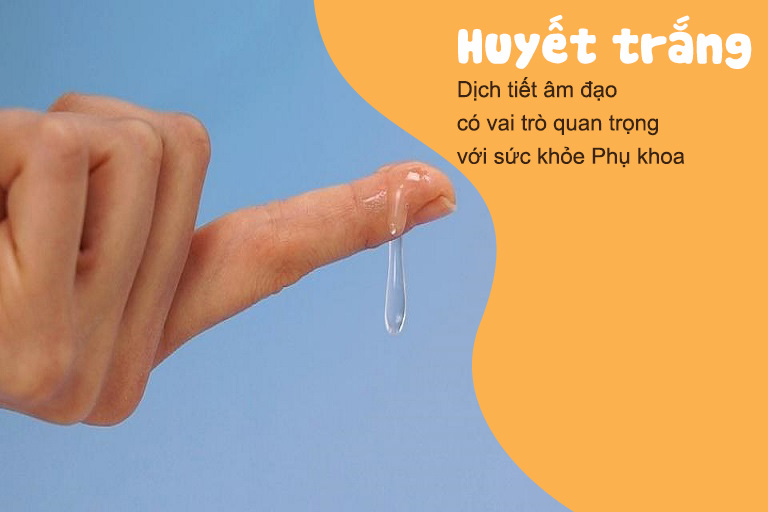 Huyết trắng là dịch nhầy âm đạo bình thường, có vai trò quan trọng với sức khỏe Phụ khoa