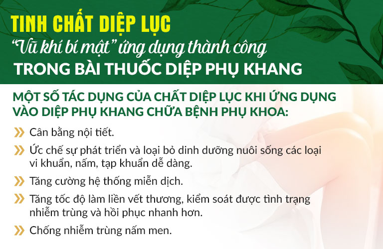 Tinh chất diệp lục và một vài công dụng đặc biệt, giúp bảo vệ và chăm sóc toàn diện sức khỏe, sinh lý nữ