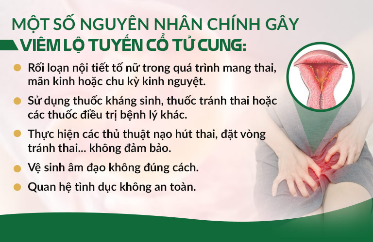 Những nguyên nhân hàng đầu được cho là con đường ngắn nhất dẫn đến viêm lộ tuyến cổ tử cung