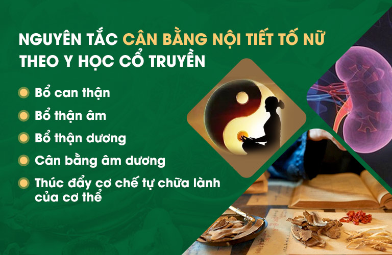 Việc cân bằng nội tiết tố nữ cần phải được diễn ra theo trình tự nhằm tác động được tới toàn bộ các yếu tố làm ảnh hưởng tới nội tiết, hỗ trợ sức khỏe sinh sản