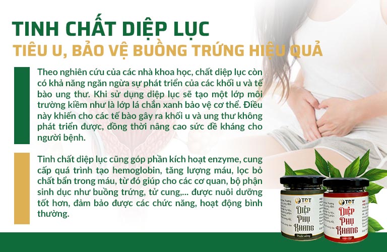 Tinh chất diệp lục là thành phần đặc trị buồng trứng đa nang từ tự nhiên mà không cần tác động hóa dược