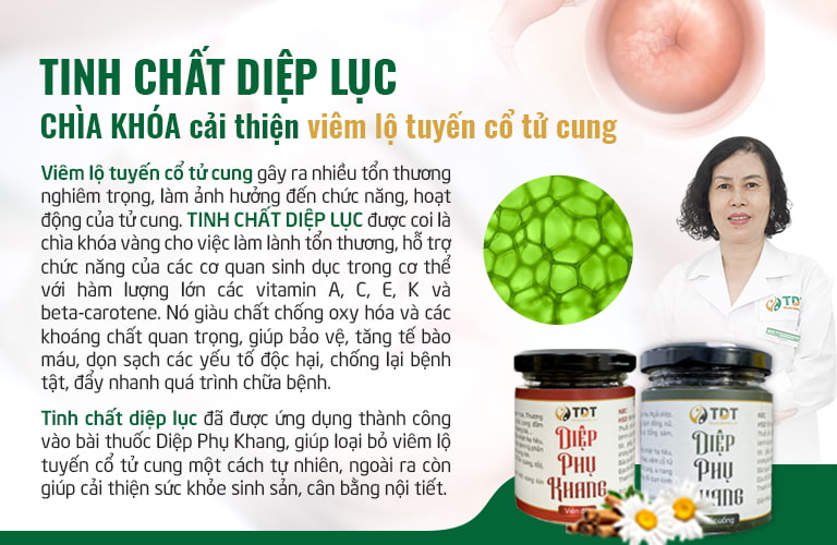 Tinh chất diệp lục cung cấp những hợp chất có lợi cho quá trình phục hồi tổn thương tại cổ tử cung