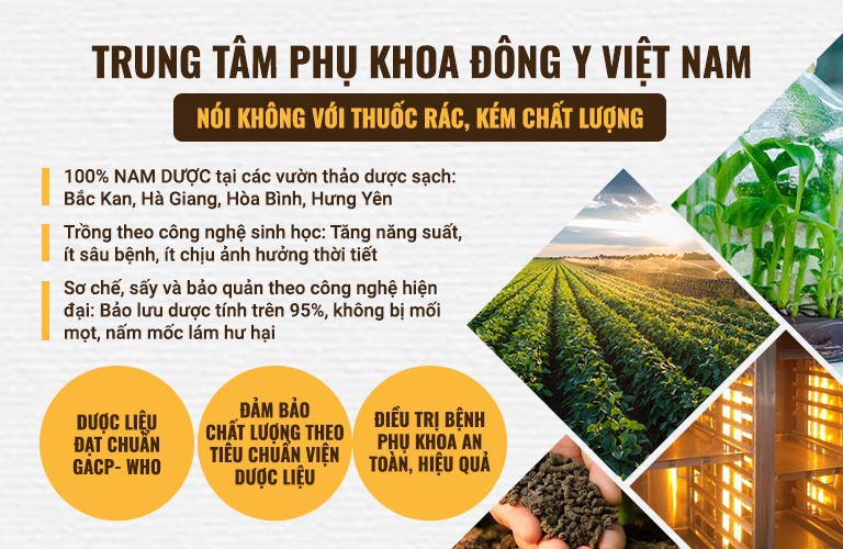 Thảo dược của Trung tâm được kiểm soát nghiêm ngặt về chất lượng