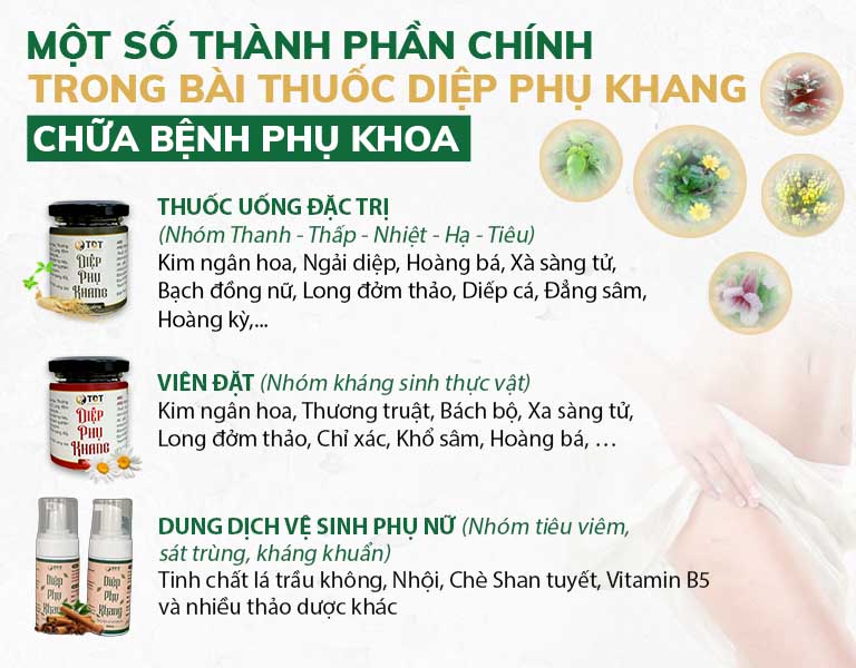 Thành phần của các chế phẩm Diệp phụ khang