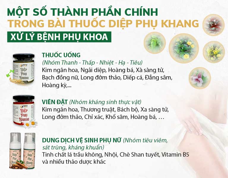 Thành phần của các chế phẩm Diệp phụ khang Những chế phẩm đặc biệt, tác động toàn diện lên vùng viêm lộ tuyến cổ tử cung