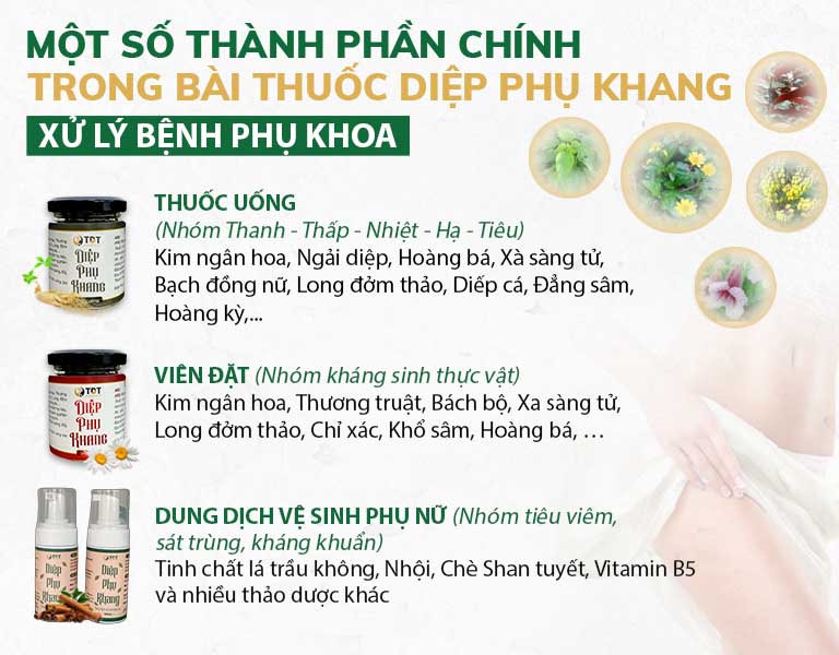 Những chế phẩm đặc biệt, tác động toàn diện lên vùng viêm lộ tuyến cổ tử cung