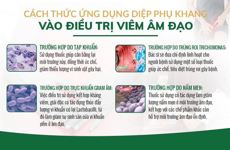 Một số dạng khuẩn gây viêm âm đạo và cách bác sĩ Đỗ Thanh Hà xử lý với Diệp Phụ Khang