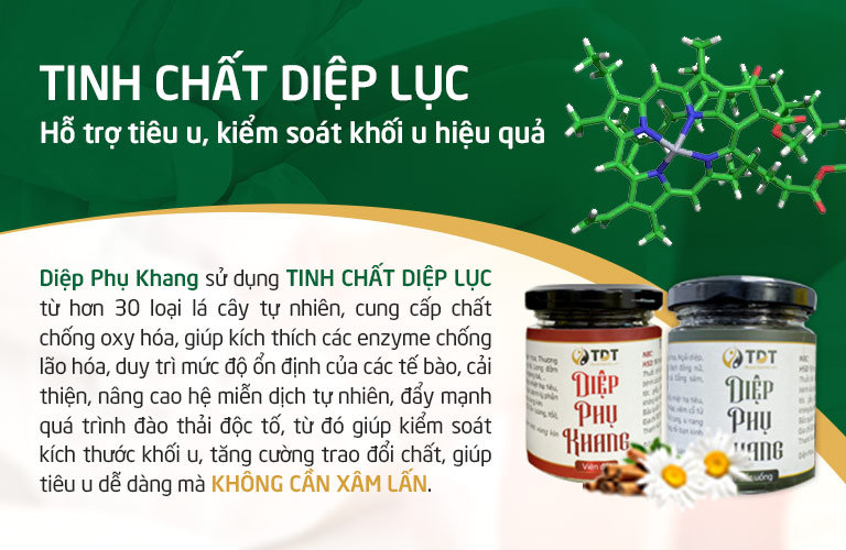 Tinh chất diệp lục đóng vai trò quan trọng, kích thích quá trình đào thải tế bào nuôi dưỡng khối u, trực tiếp khiến u xơ tử cung bị tiêu biến