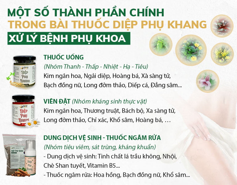 Một số thành phần chính trong bài thuốc Diệp Phụ Khang xử lý bệnh phụ khoa