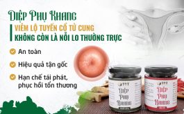 Thuốc viêm lộ tuyến Diệp Phụ Khang