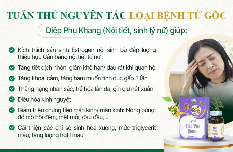 Chi tiết các công dụng của thuốc nội tiết Diệp Phụ Khang Chi tiết các công dụng của thuốc nội tiết Diệp Phụ Khang