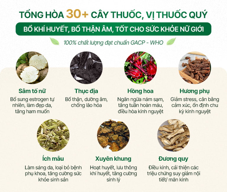 Công dụng các thành phần thảo dược có trong Diệp Phụ Khang