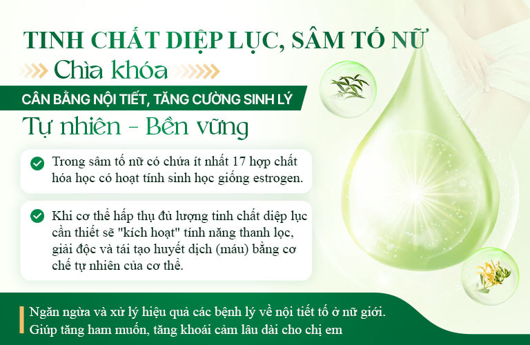 Tinh chất diệp lục trong bài thuốc Diệp Phụ Khang nội tiết